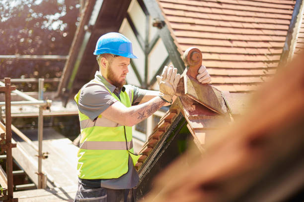 Best Storm Damage Roof Repair  in Troy, AL